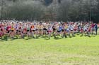 Under-15 Girls start, McCain Inter Counties Cross Country, Cofton Park, Birmingham.